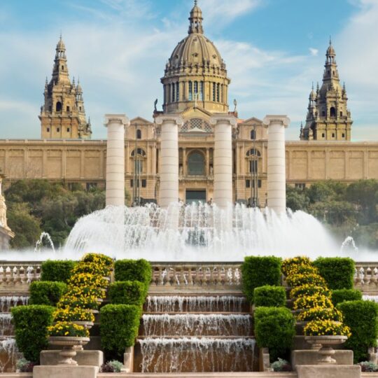 https://ichic2027.com/wp-content/uploads/2026/05/BCN02-540x540.jpg